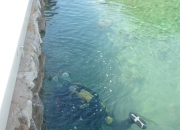 Postavljanje podvodne LED rasvjete