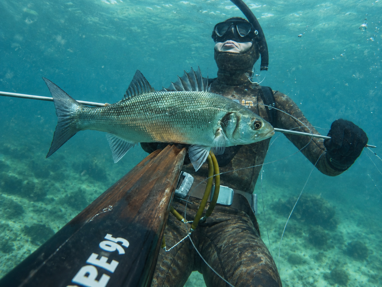 Fishing izlet iz Primoštena